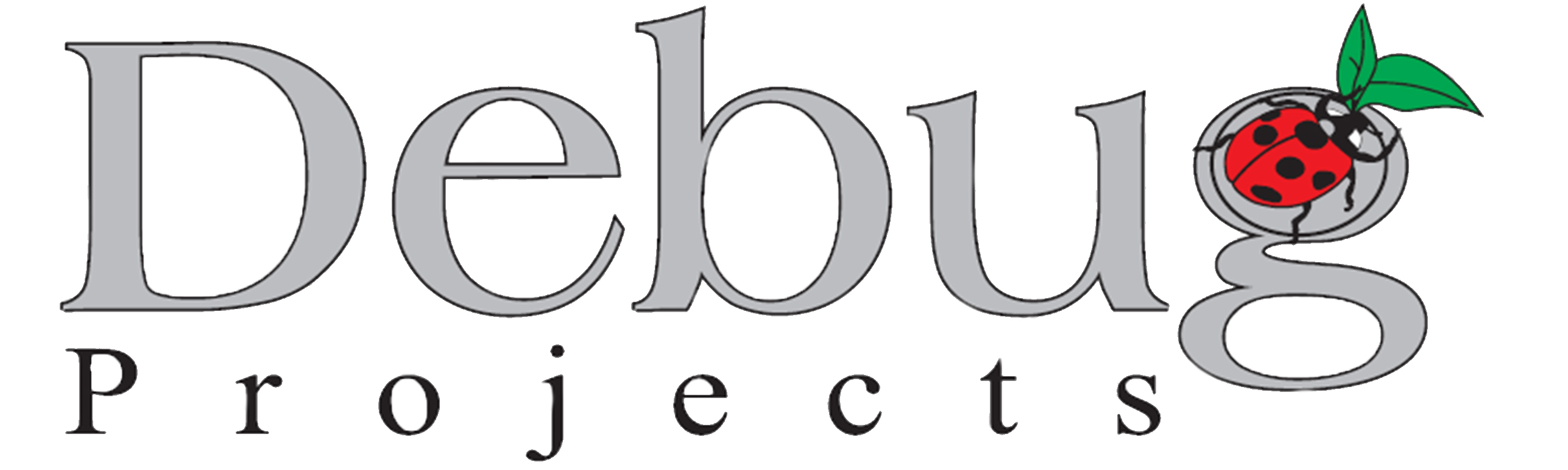 Debug Project Logo